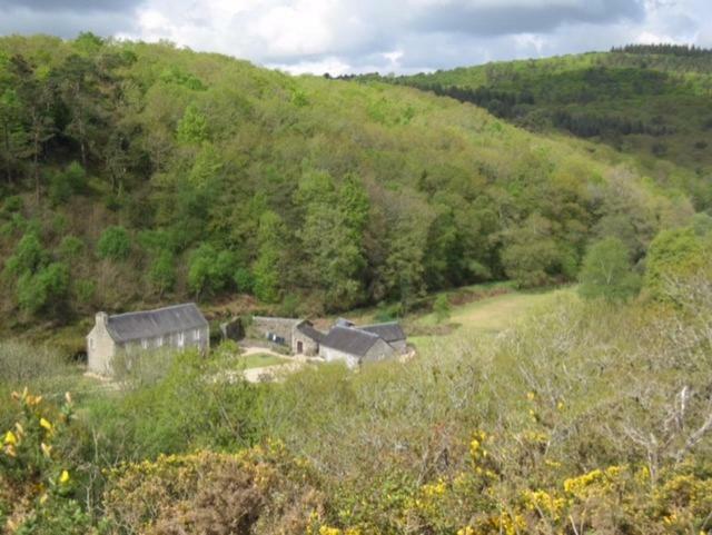 Gite Moulin Du Squiriou Berrien エクステリア 写真